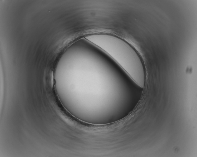 X0000093130013200709261046