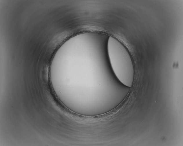 X0000093130014200709261046