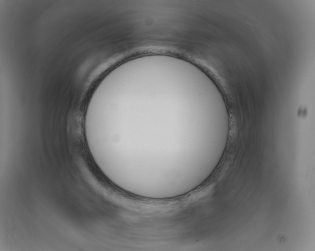 X0000093130016200709261046