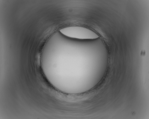 X0000093130022200709261046
