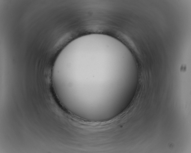X0000093130023200709261046