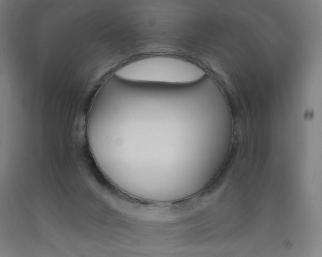 X0000093130024200709261046