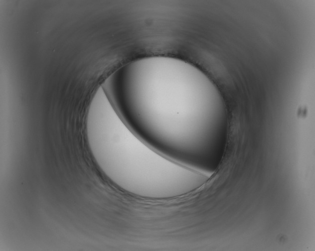 X0000093130025200709261046