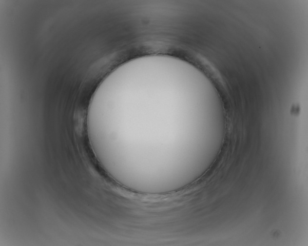 X0000093130026200709261046