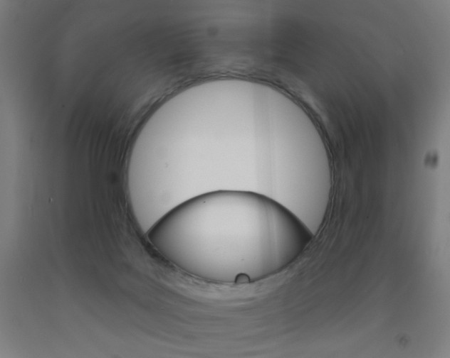 X0000093130027200709261046