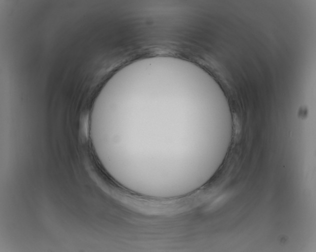 X0000093130028200709261046