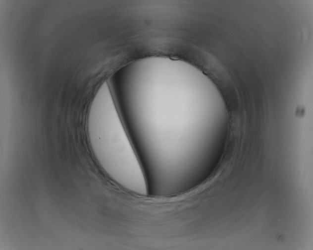 X0000093130029200709261046