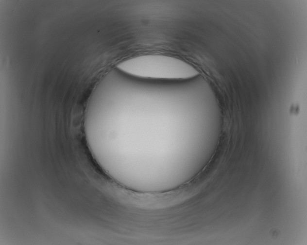 X0000093130030200709261046