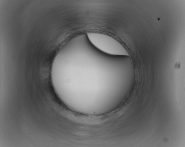X0000093130032200709261046