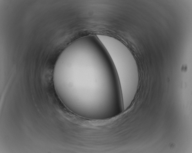 X0000093130033200709261046