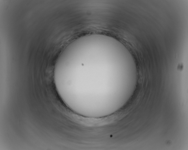 X0000093130034200709261046