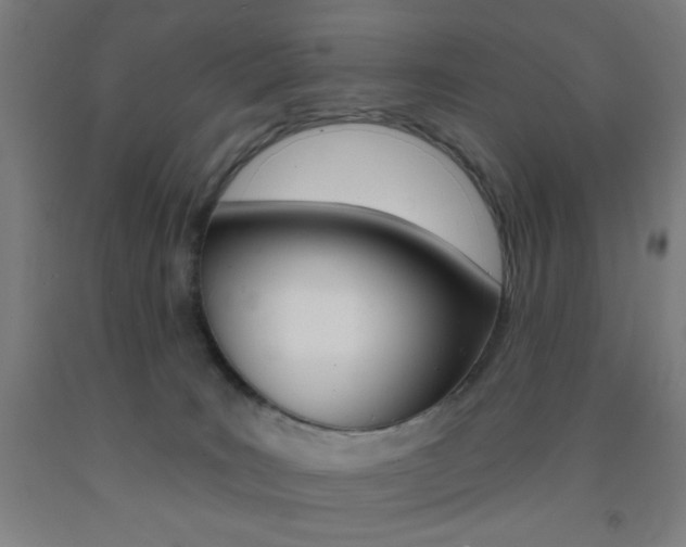 X0000093130035200709261046