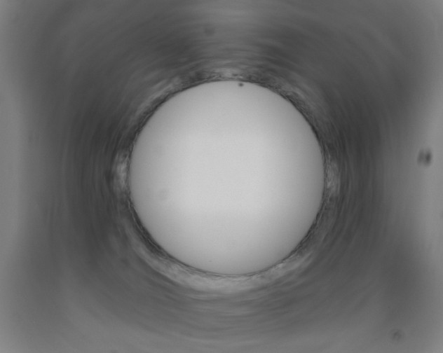 X0000093130036200709261045