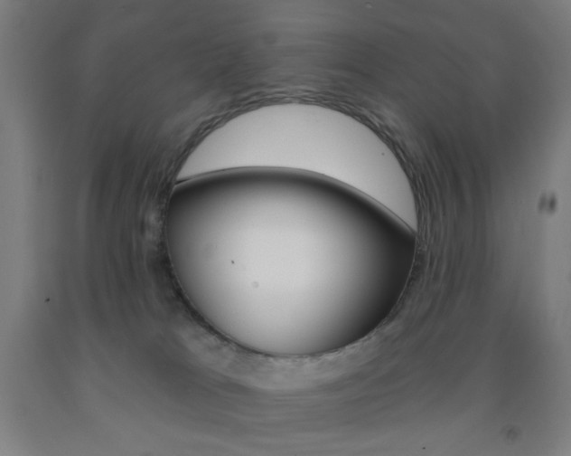 X0000093130037200709261045