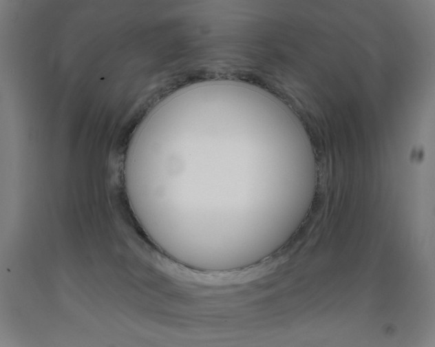 X0000093130038200709261045