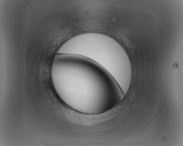 X0000093130039200709261045
