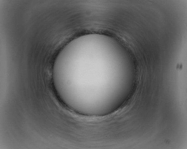 X0000093130040200709261045