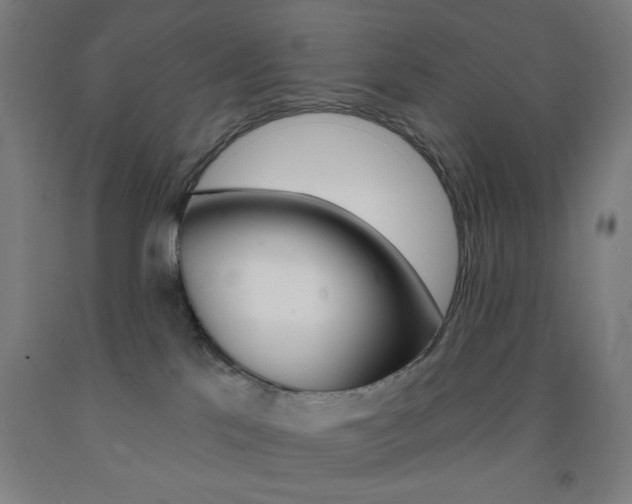 X0000093130041200709261045