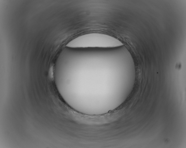 X0000093130042200709261045