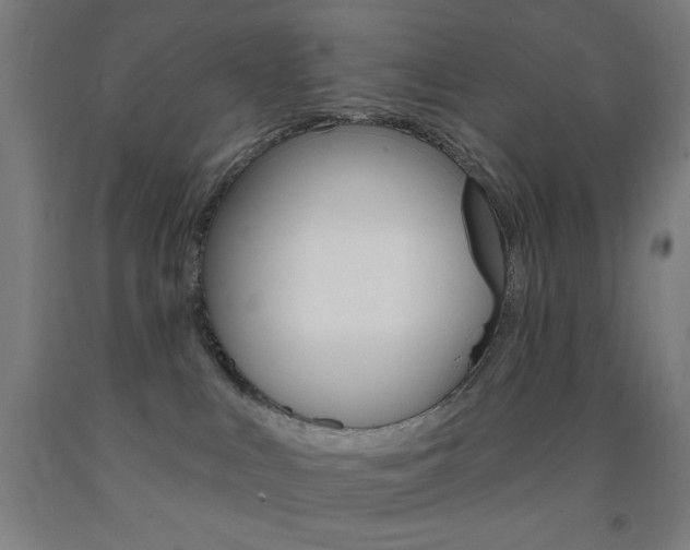 X0000093130043200709261045