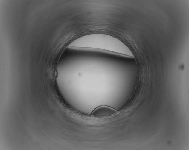 X0000093130044200709261045
