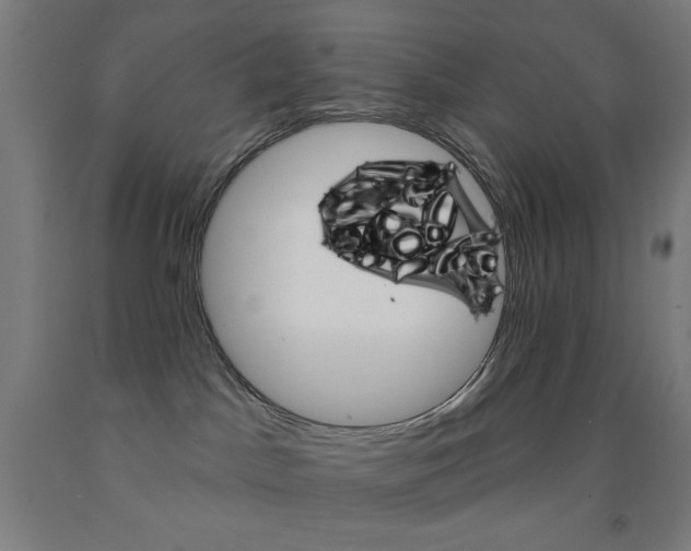 X0000093130045200709261045