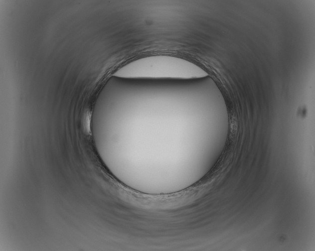 X0000093130046200709261045
