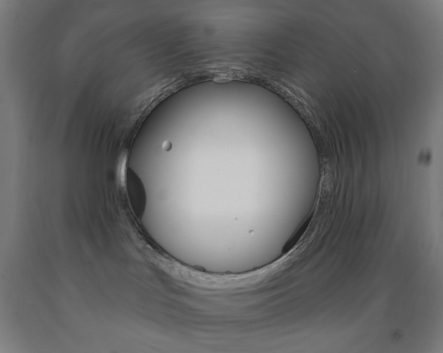 X0000093130047200709261045