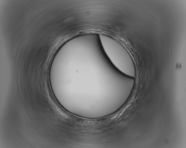 X0000093130049200709261045