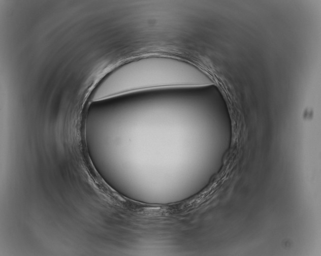X0000093130050200709261045