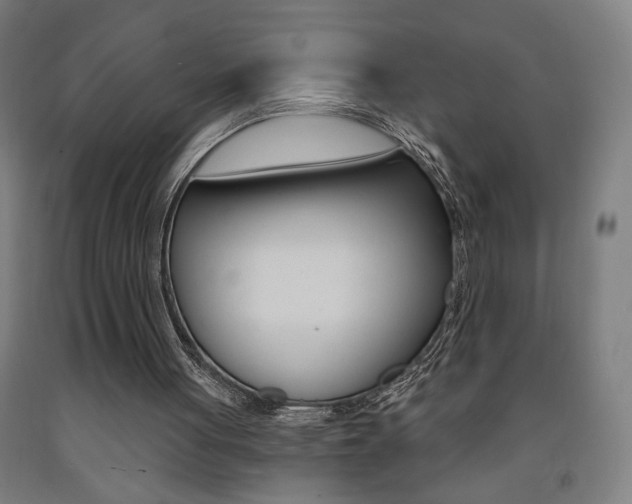 X0000093130051200709261045