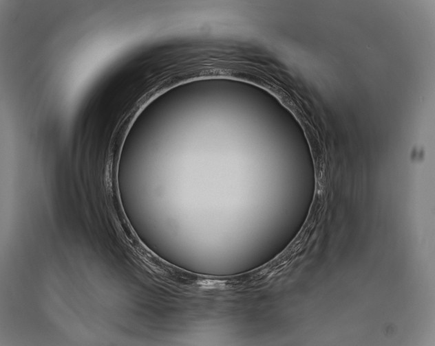 X0000093130052200709261045