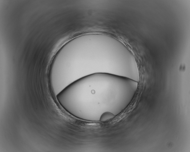 X0000093130053200709261045