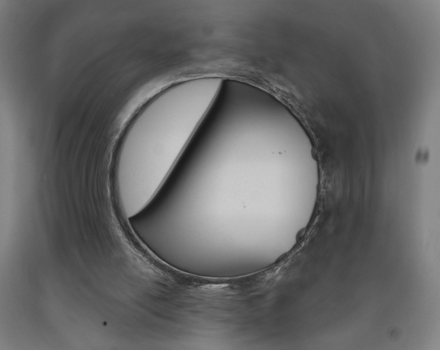 X0000093130054200709261045