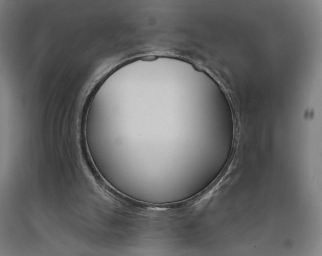 X0000093130055200709261045