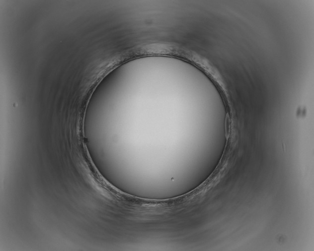 X0000093130057200709261045