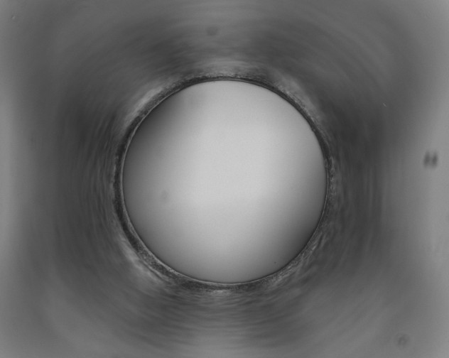 X0000093130058200709261045