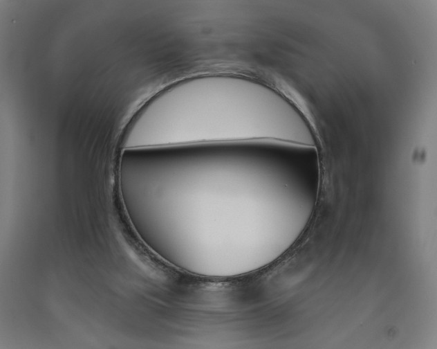 X0000093130059200709261045