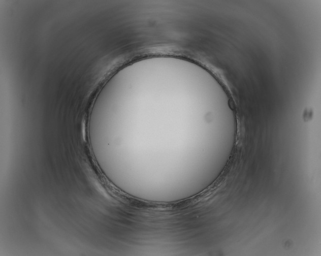 X0000093130061200709261045
