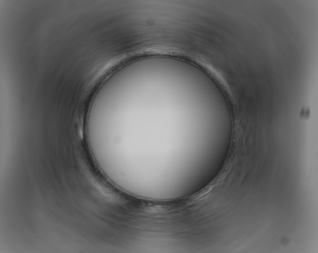 X0000093130062200709261045