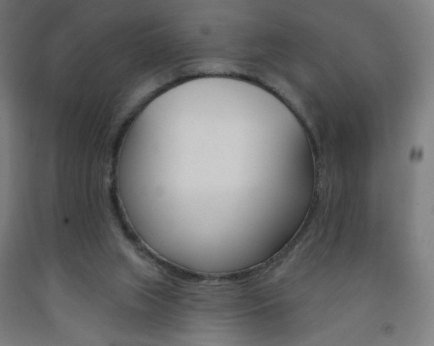 X0000093130063200709261045