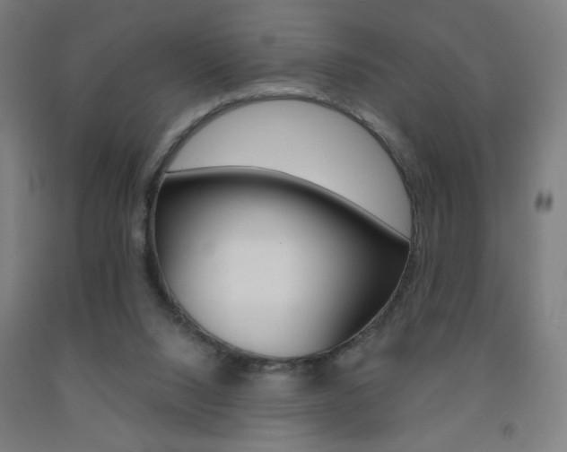 X0000093130064200709261045