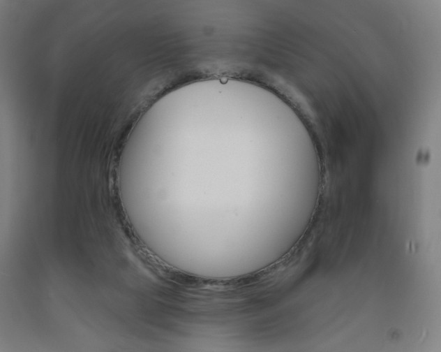 X0000093130065200709261045