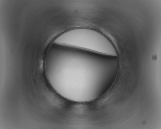 X0000093130067200709261045