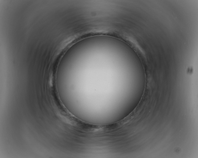 X0000093130068200709261045