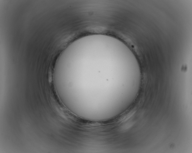 X0000093130069200709261045