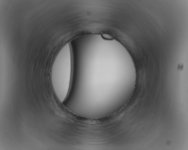 X0000093130073200709261045