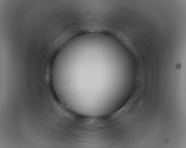 X0000093130074200709261045