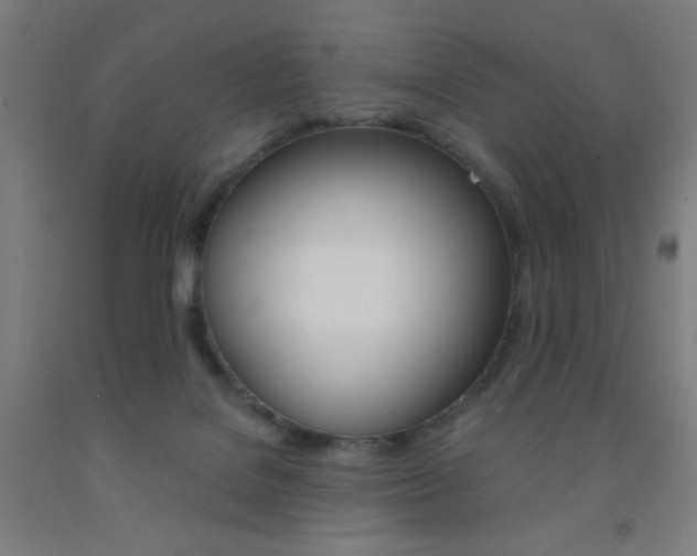 X0000093130076200709261045