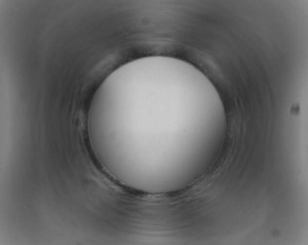 X0000093130077200709261045